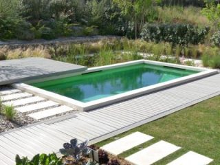 piscine écologique