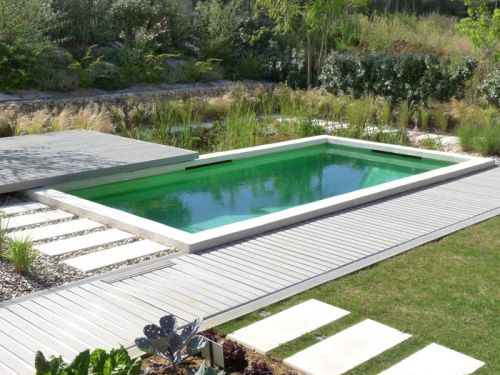 piscine écologique